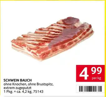 Schwein Bauch