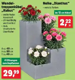 Thomas Philipps Wendel-treppenkübel „Kubus“ Angebot