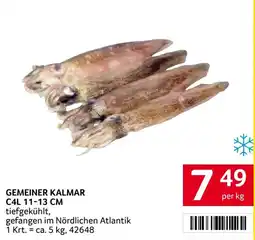 Transgourmet Gemeiner Kalmar Angebot
