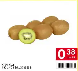 Transgourmet KIWI KL.1 Angebot
