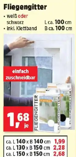 Thomas Philipps Fliegengitter Angebot