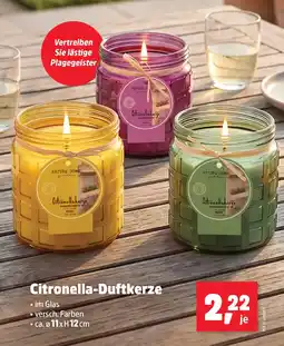 Thomas Philipps Citronella-Duftkerze Angebot