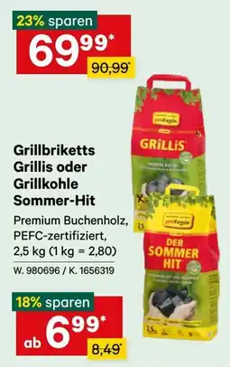 Lagerhaus Grillbriketts Grillis oder Grillkohle Sommer-Hit Angebot