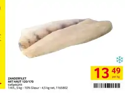 Transgourmet Zanderfilet mit Haut Angebot