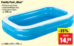 Thomas Philipps Family Pool „Blue“ Angebot