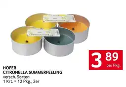 Transgourmet HOFER CITRONELLA SUMMERFEELING Angebot