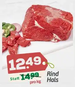 ETSAN Rind Hals Angebot