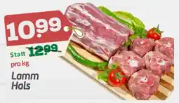 ETSAN Lamm Hals Angebot