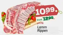 ETSAN Lamm Rippen Angebot