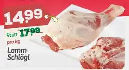 ETSAN Lamm Schlögl Angebot