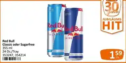 Kastner Red Bull Classic oder Sugarfree Angebot