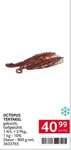 Transgourmet Octopus Tentakel Angebot
