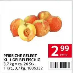Transgourmet Pfirsiche Gelegt Angebot