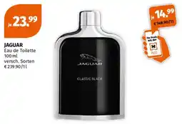 Müller Jaguar Classic Black Angebot
