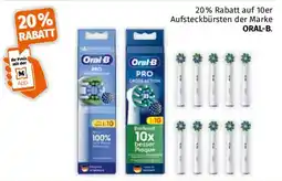 Müller Aufsteckbürsten der Marke ORAL-B Angebot