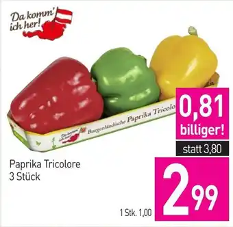 Sutterlüty Paprika Tricolore Angebot