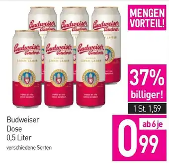 Sutterlüty Budweiser Dose Angebot