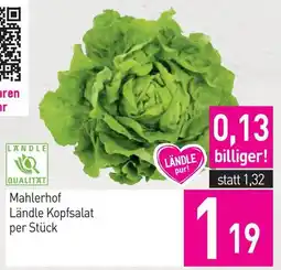 Sutterlüty Mahlerhof Ländle Kopfsalat Angebot