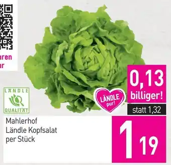 Sutterlüty Mahlerhof Ländle Kopfsalat Angebot