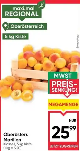 Maximarkt Oberösterr. Marillen Angebot