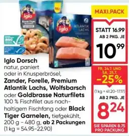 Maximarkt Iglo Dorsch Angebot