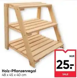 Maximarkt Holz-Pflanzenregal Angebot