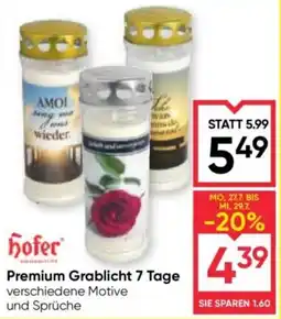 Maximarkt Hofer Premium Grablicht 7 Tage Angebot