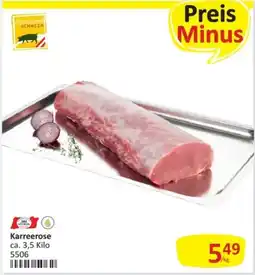 Kastner Karreerose Angebot