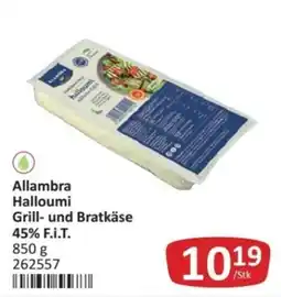 Kastner Allambra Halloumi Grill- und Bratkäse Angebot