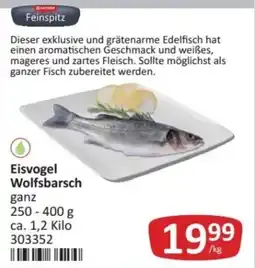 Kastner Eisvogel Wolfsbarsch Angebot