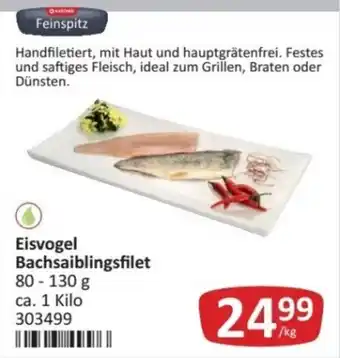 Kastner Eisvogel Bachsaiblingsfilet Angebot