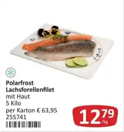 Kastner Polarfrost Lachsforellenfilet mit Haut Angebot