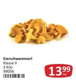 Kastner Eierschwammerl Angebot