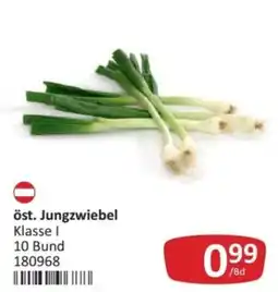 Kastner öst. Jungzwiebel Angebot