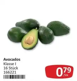 Kastner Avocados Angebot