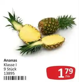 Kastner Ananas Klasse I Angebot