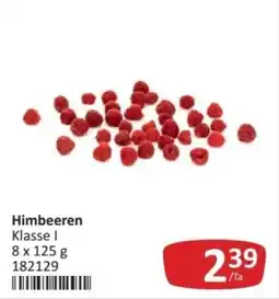 Kastner Himbeeren Klasse I Angebot