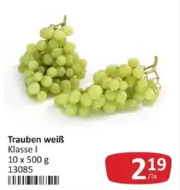 Kastner Trauben weiß Angebot