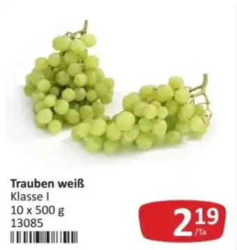 Kastner Trauben weiß Angebot