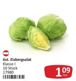 Kastner öst. Eisbergsalat Angebot