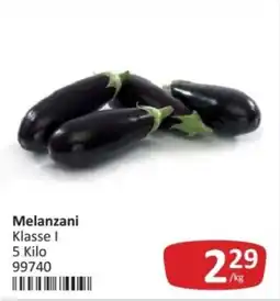 Kastner Melanzani Klasse I Angebot