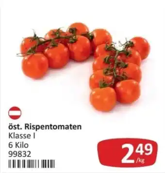 Kastner öst. Rispentomaten Angebot
