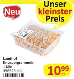 Kastner Landhof Knuspergrammeln Angebot