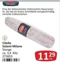 Kastner Citella Salami Milano Stange Angebot