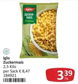 Kastner Iglo Zuckerm Mais Angebot