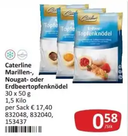 Kastner Caterline Marillen-, Nougat- oder Erdbeertopfenknödel Angebot