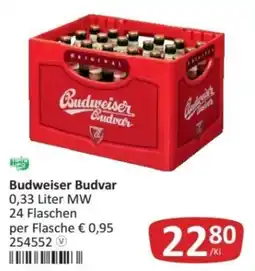 Kastner Budweiser Budvar Angebot