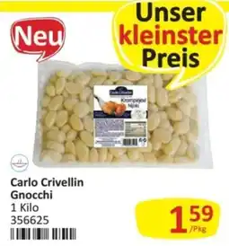 Kastner Carlo Crivellin Gnocchi Angebot