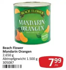 Kastner Beach Flower Mandarin Orangen Angebot