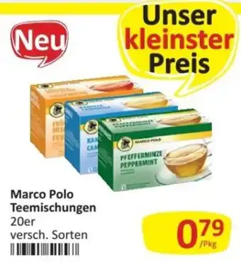 Kastner Marco Polo Teemischungen Angebot